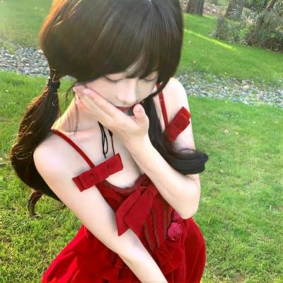 大炮破坏者